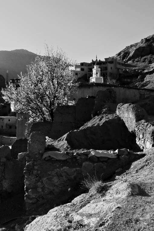 Imlil, Marocco, Febbraio 2024